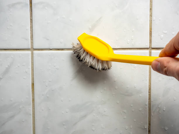 Best Health and Safety Mold Remediation in North Muskegon, MI