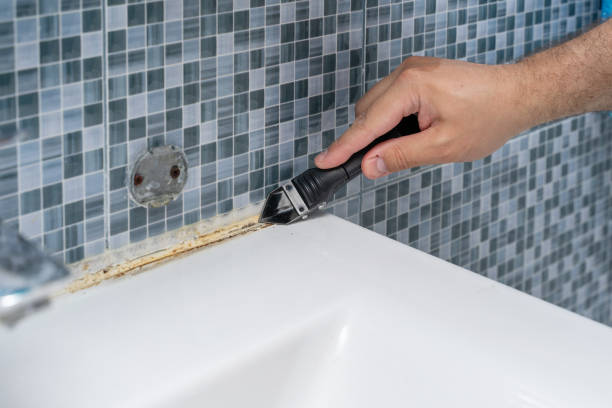Best Emergency Mold Remediation in North Muskegon, MI