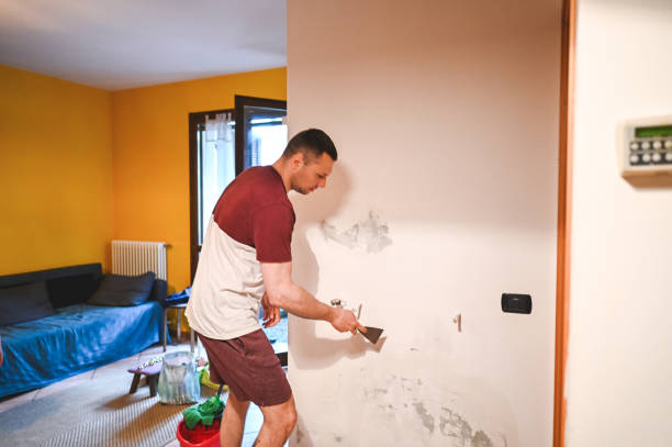 Best Black Mold Remediation in North Muskegon, MI